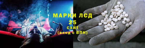 индика Богданович