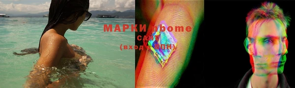 индика Богданович