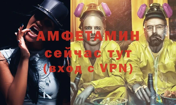 индика Богданович