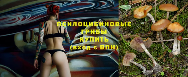 прущий лед Бронницы