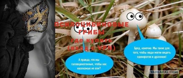 индика Богданович